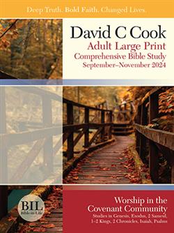 DCC ADULT BIBLE STUDENT BOOK LARGE PRINT FALL 2024