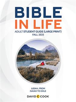 DCC ADULT BIBLE STUDENT BOOK LARGE PRINT FALL 2025