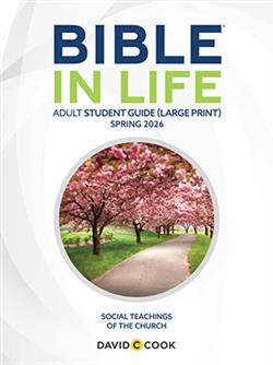 DCC ADULT BIBLE STUDENT BOOK LARGE PRINT SPRING 2026