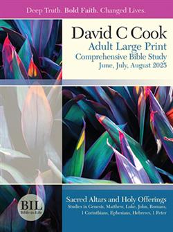 DCC ADULT BIBLE STUDENT BOOK LARGE PRINT SUMMER 2025