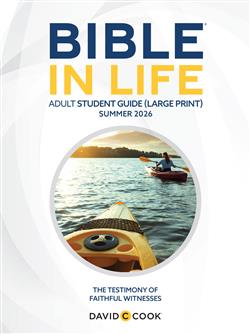 DCC ADULT BIBLE STUDENT BOOK LARGE PRINT SUMMER 2026