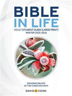 DCC ADULT BIBLE STUDENT BOOK LARGE PRINT WINTER 2025